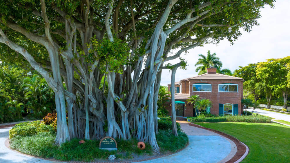 1125 N Flagler Drive, West Palm Beach, FL 33401